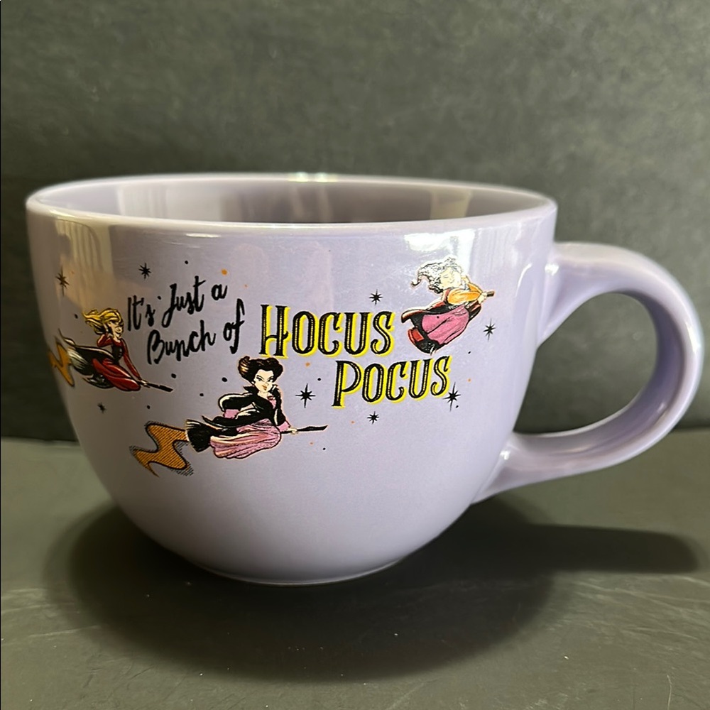 Disney Sanderson Sisters “It's Just a Bunch of Hocus Pocus” Large Soup Mug